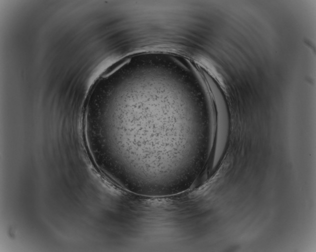 X0000091850952200709191053
