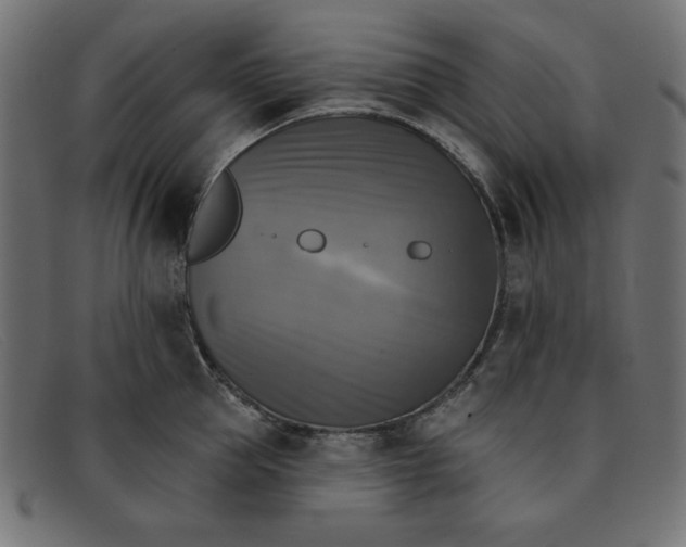 X0000091850953200709191053