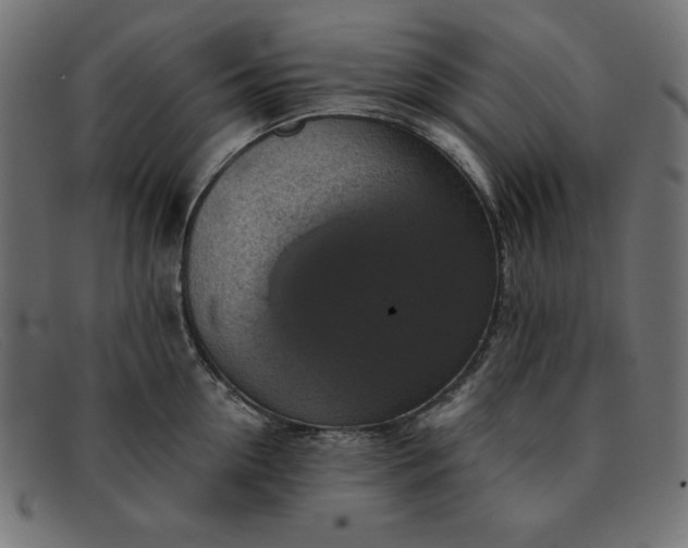X0000091850954200709191053