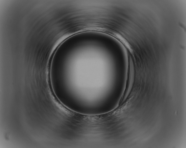 X0000091850955200709191053