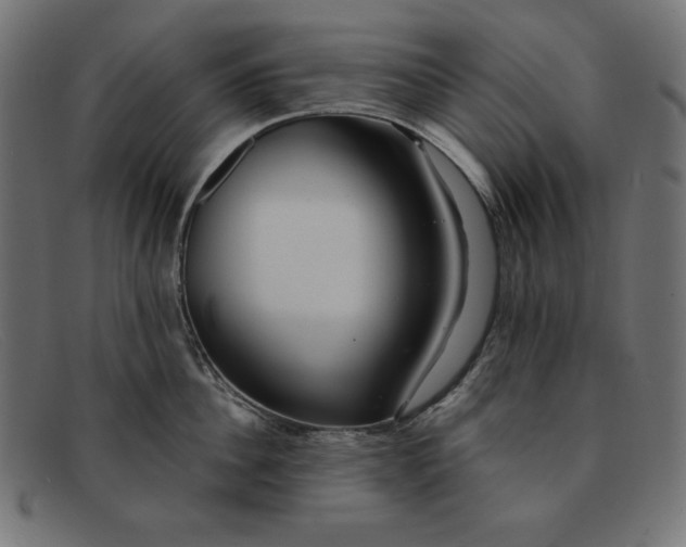 X0000091850956200709191053