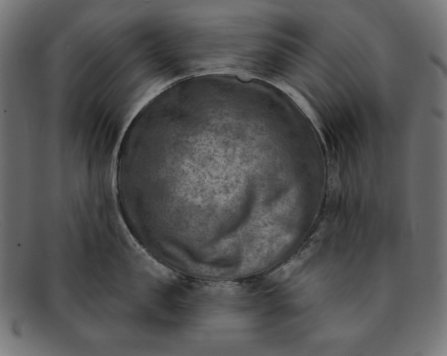 X0000091850957200709191053