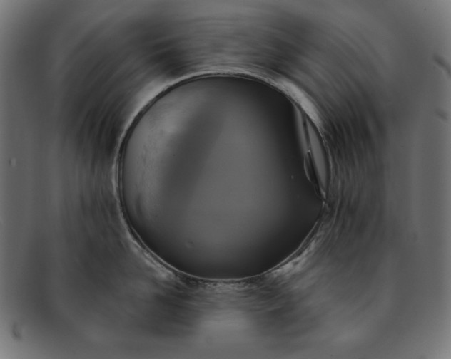 X0000091850958200709191053