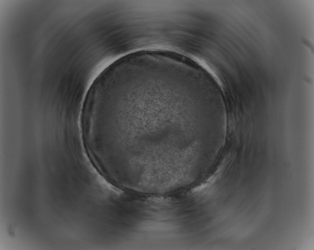 X0000091850959200709191054