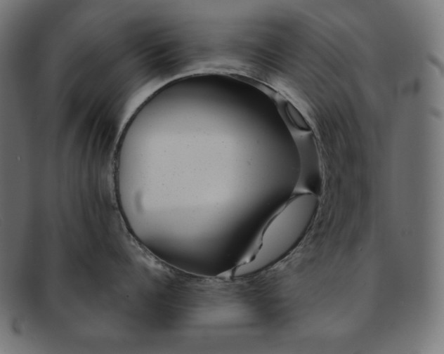 X0000091850960200709191054