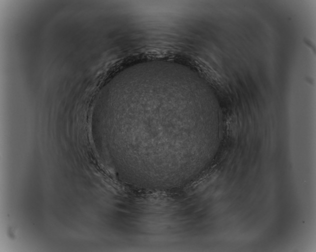 X0000091850961200709191053