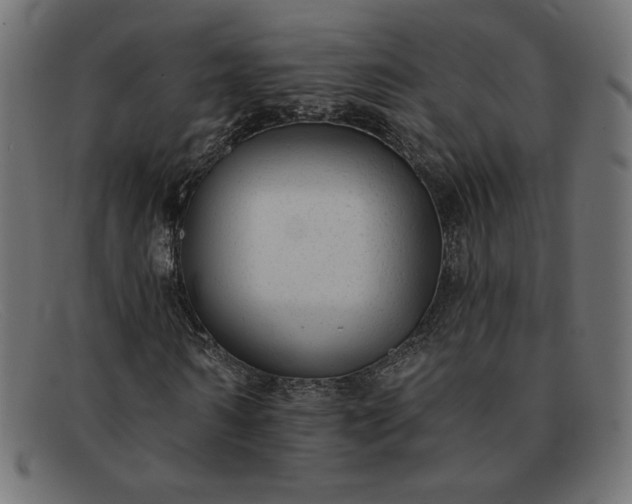 X0000091850962200709191053