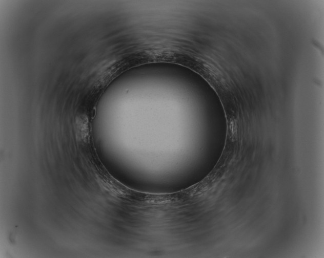 X0000091850963200709191053