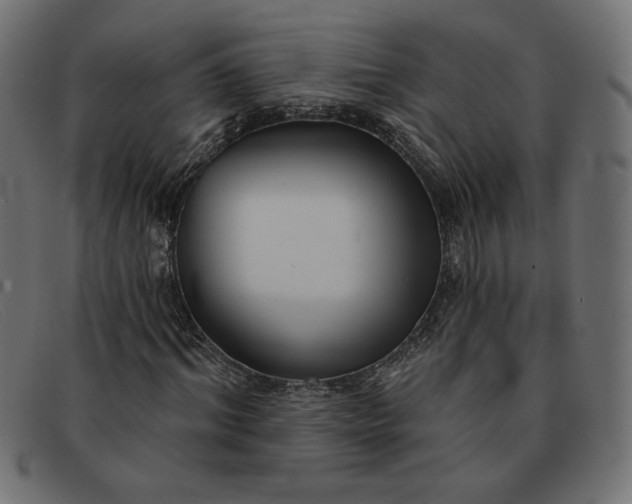 X0000091850964200709191053