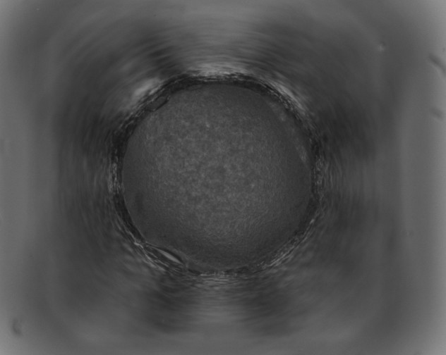 X0000091850965200709191053