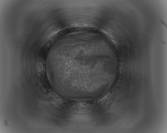 X0000091850966200709191053