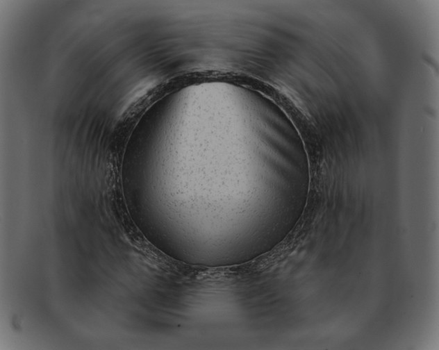 X0000091850967200709191053