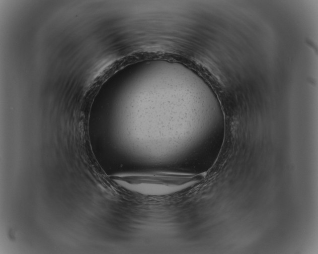 X0000091850968200709191053