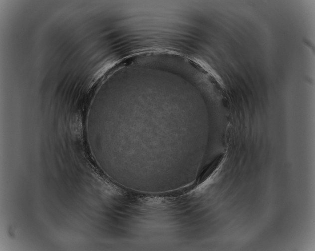 X0000091850969200709191053
