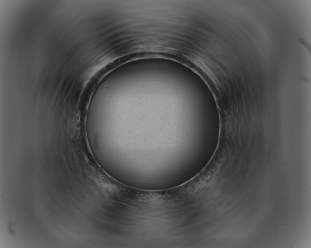 X0000091850971200709191053