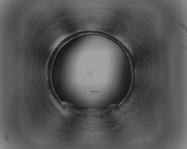 X0000091850972200709191053