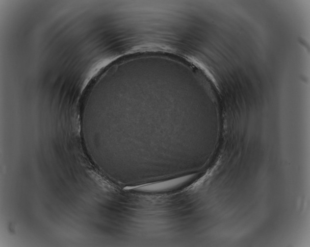 X0000091850973200709191053