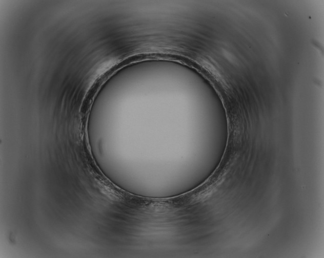 X0000091850974200709191053