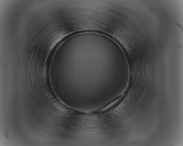 X0000091850975200709191053