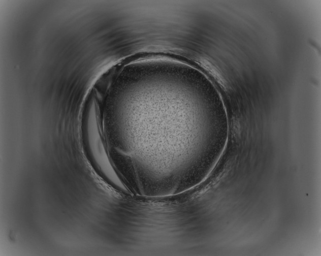 X0000091850976200709191053