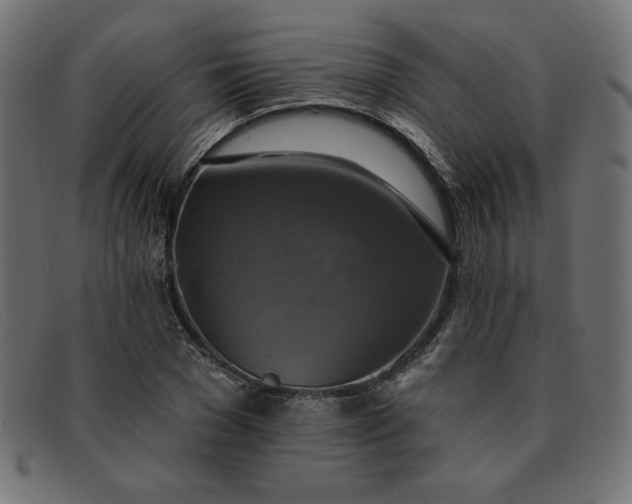 X0000091850977200709191053