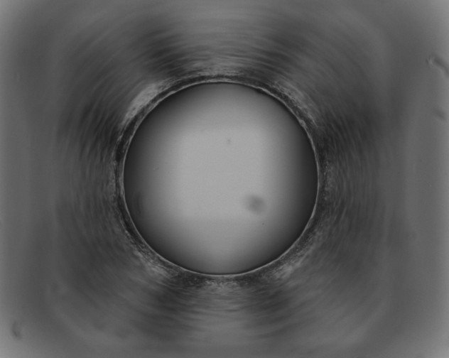X0000091850978200709191053