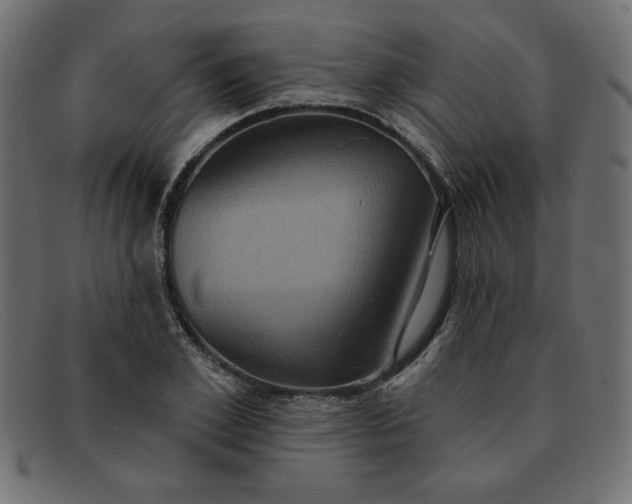 X0000091850981200709191053