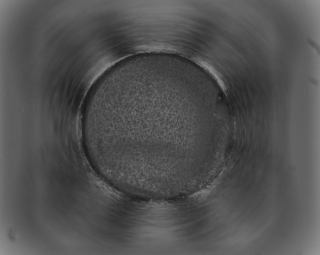 X0000091850983200709191053