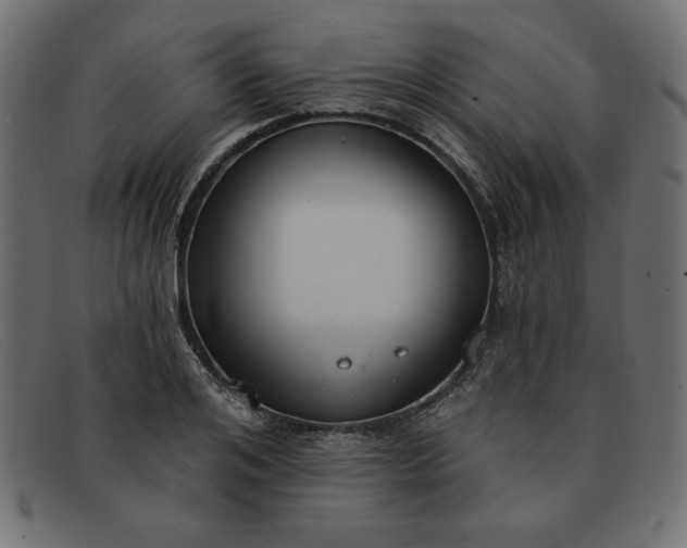 X0000091850984200709191053