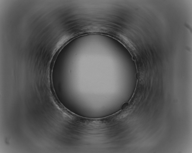 X0000091850986200709191053