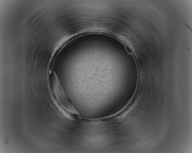 X0000091850989200709191053