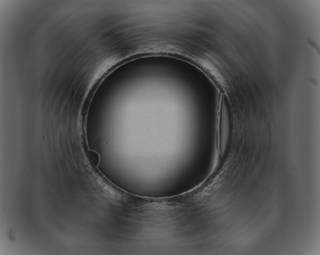 X0000091850990200709191053