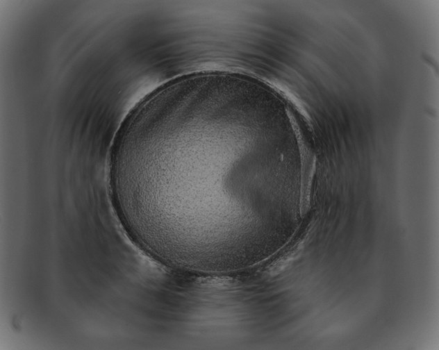 X0000091850991200709191053
