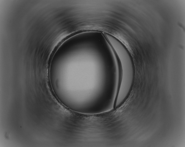 X0000091850992200709191053