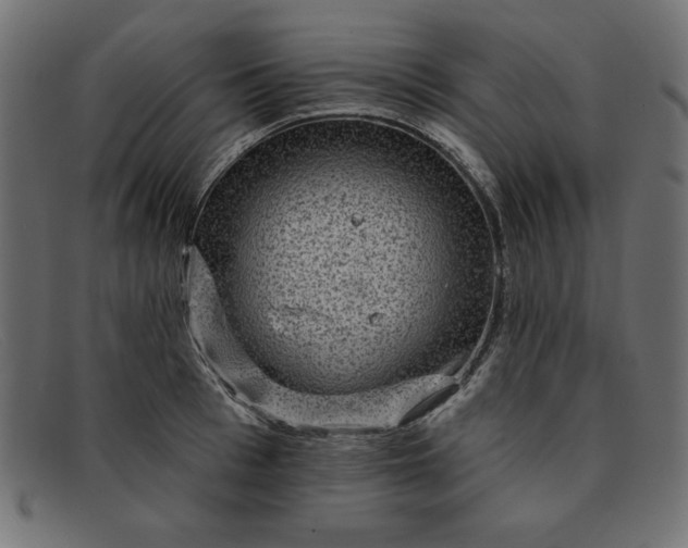 X0000091850993200709191053