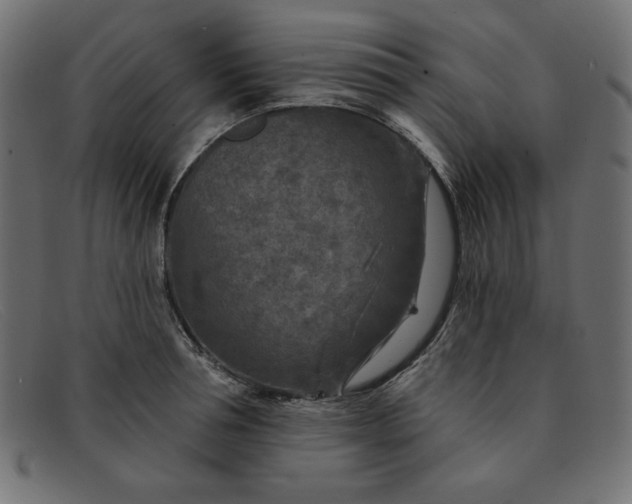 X0000091850994200709191053