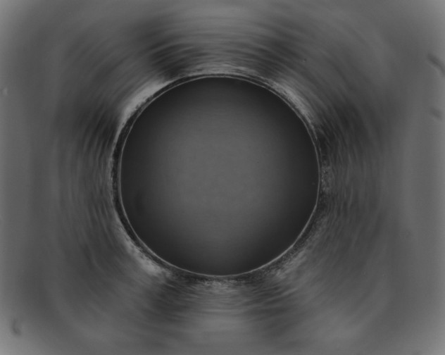 X0000091850995200709191053