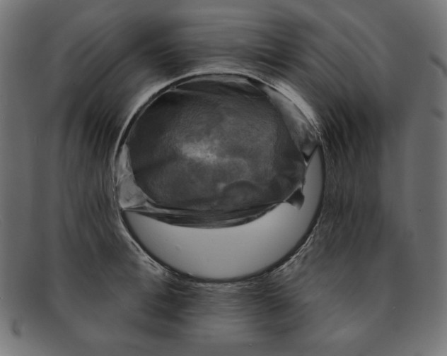 X0000091850996200709191052