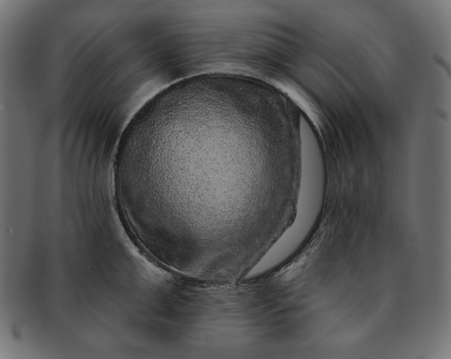 X0000091850999200709191052