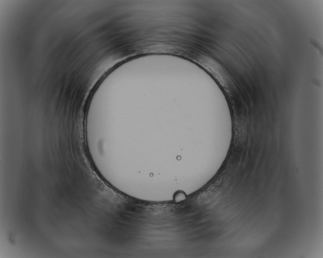 X0000091851000200709191052