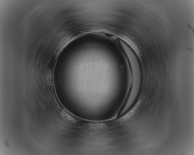X0000091851001200709191052