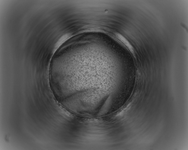 X0000091851002200709191052