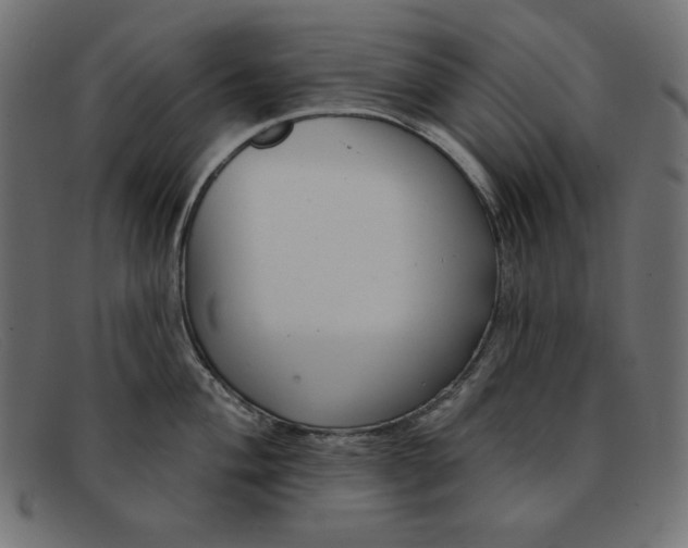 X0000091851004200709191052