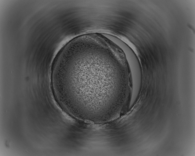 X0000091851005200709191052