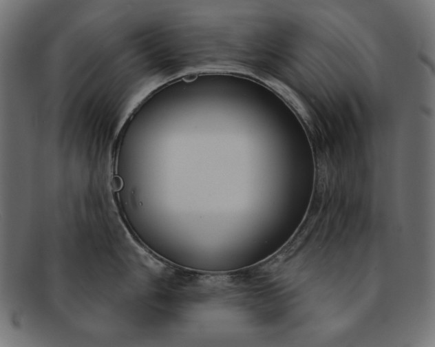 X0000091851006200709191052