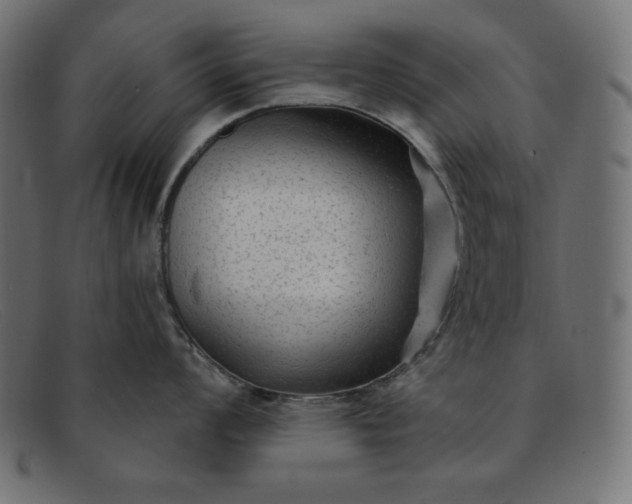 X0000091851008200709191052