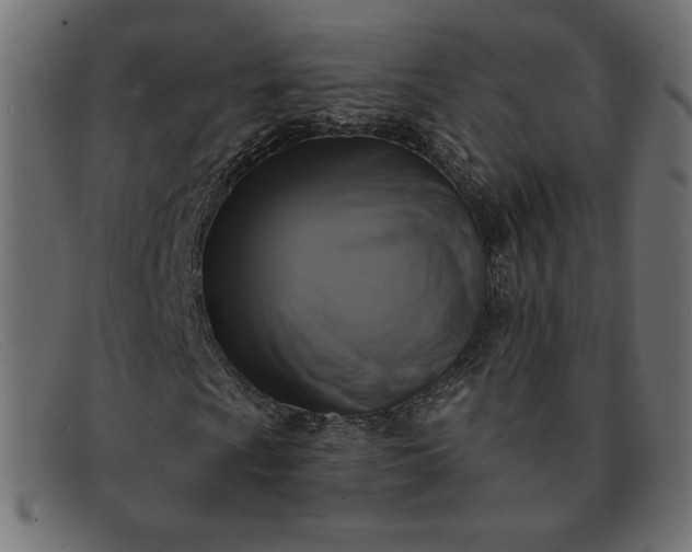 X0000091851009200709191051