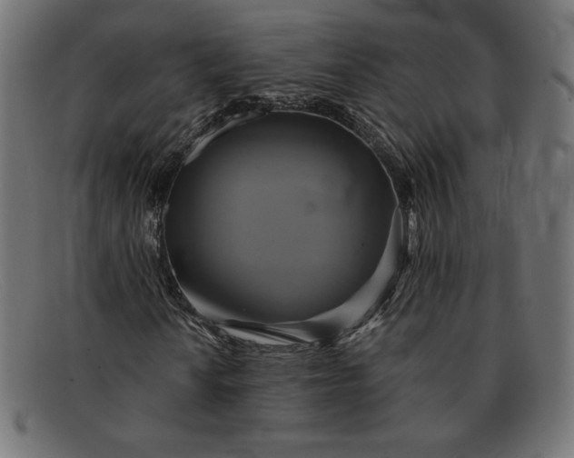 X0000091851010200709191052