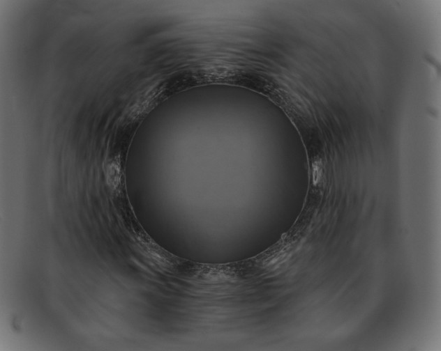 X0000091851011200709191052