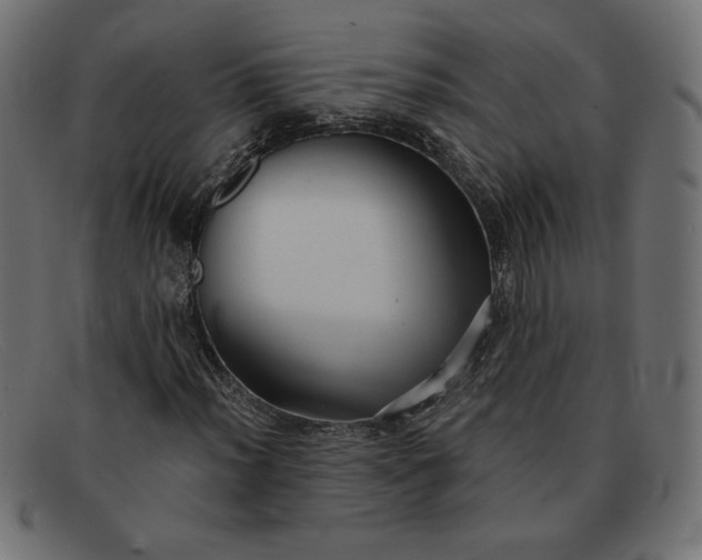 X0000091851012200709191052
